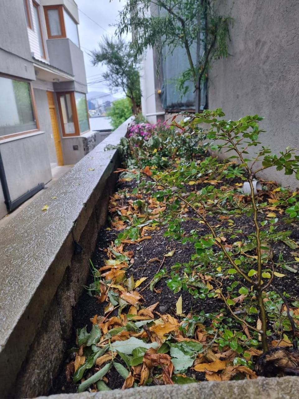 Refugio Sureno Departamento Completo Centrico Wifi Ushuaia Dış mekan fotoğraf